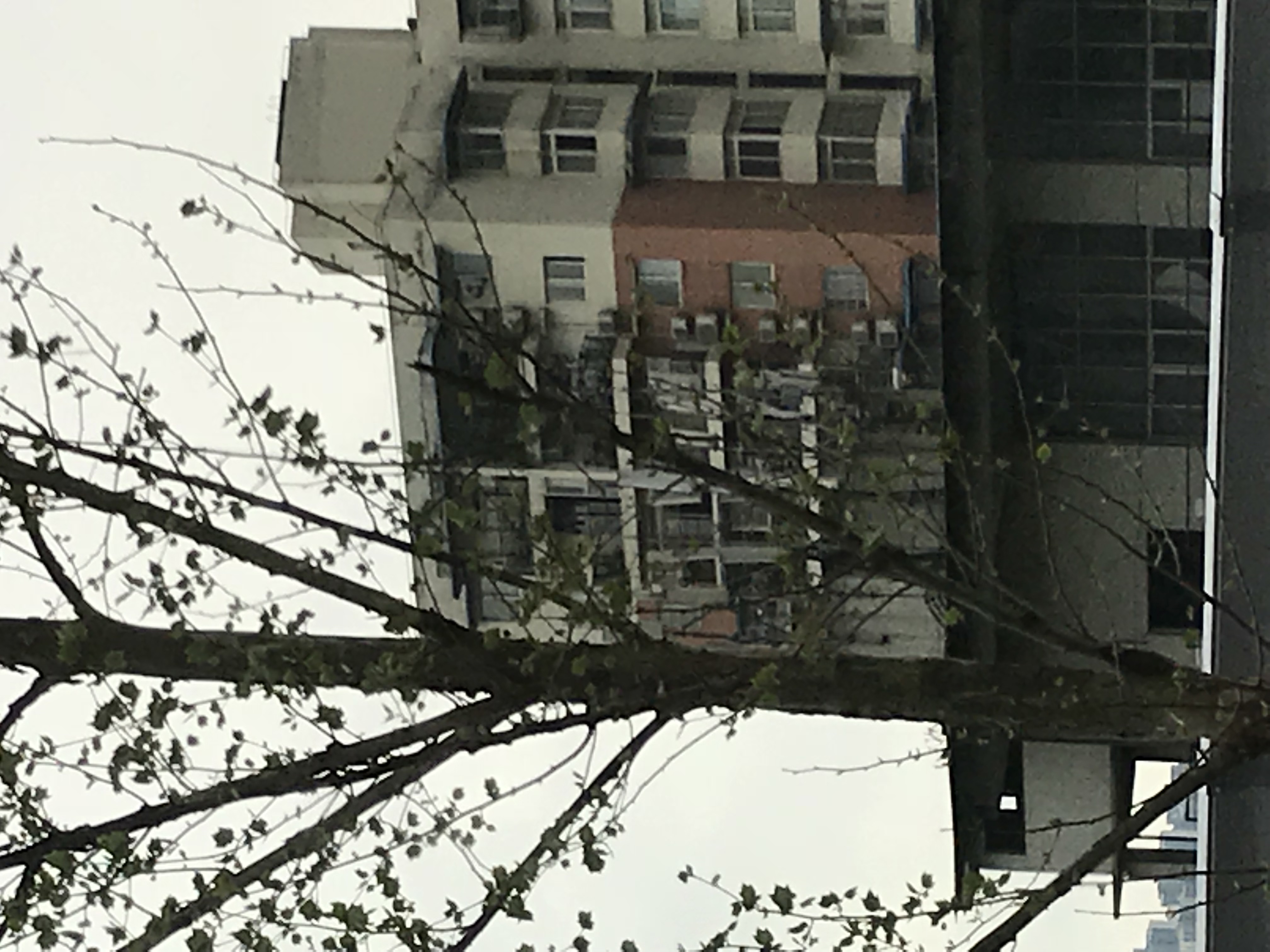 ./2018/03 - Viking China/15 - Chongqing/IMG_7065.JPG